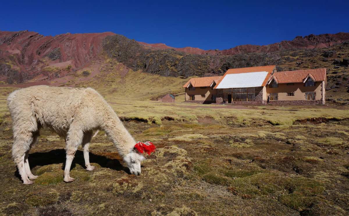 andean lodge llama