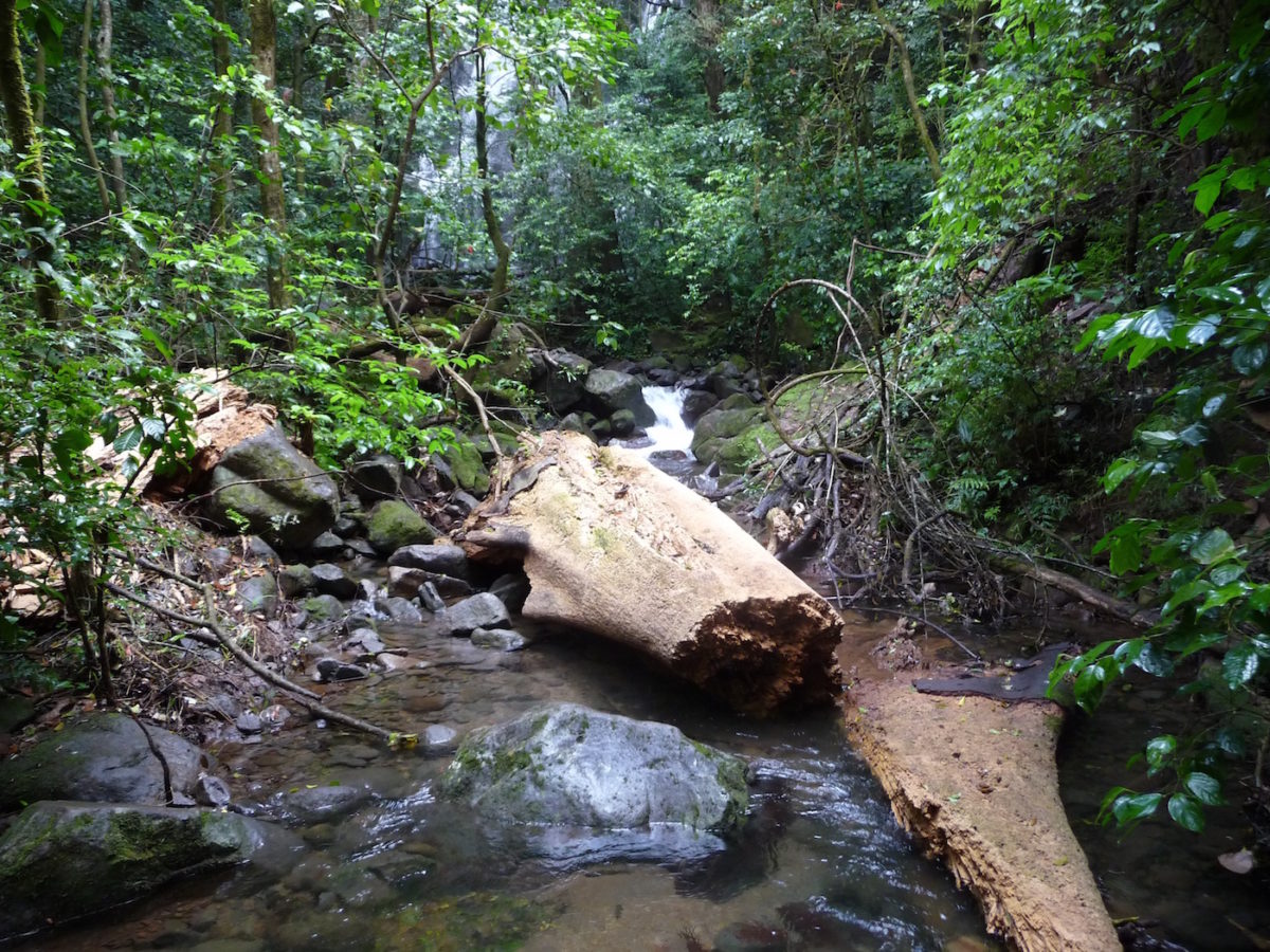Rincon de la Vieja - Costa Rica