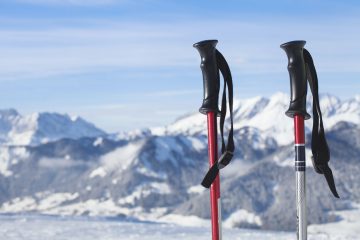 best snowshoe poles