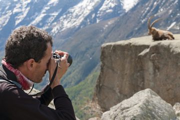best camera for wildlife photography
