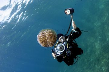 best liveaboard destinations for underwater photographers