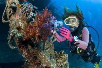 best liveaboard destinations for wreck diving