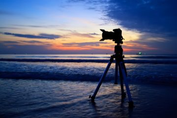 best tripod for wildlife photography