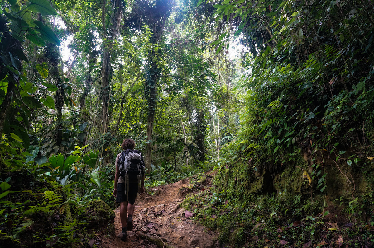 Rainforest & Ruins: A Photo Journey to the Lost City
