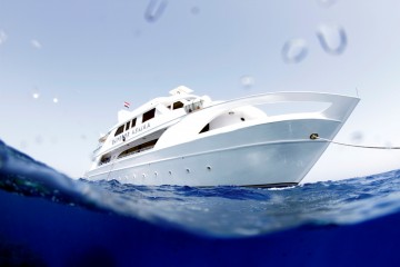 red sea liveaboard reviews