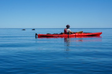 Kayaking with Southern Right Whales in Peninsula Valdes
