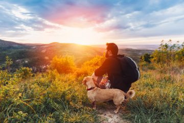 how to find dog friendly trails