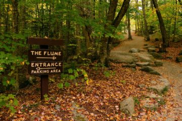 How TO Choose A Hiking Trail